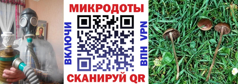 Галлюциногенные грибы мицелий Купить Курильск